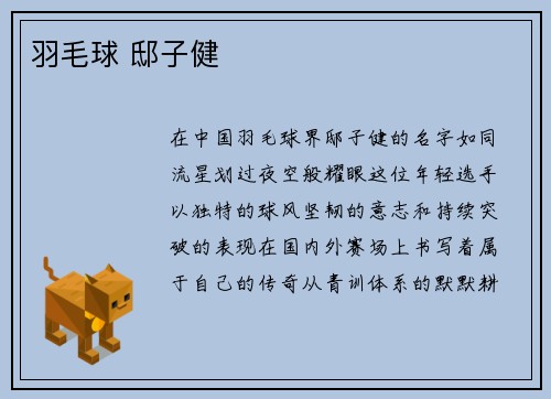 羽毛球 邸子健