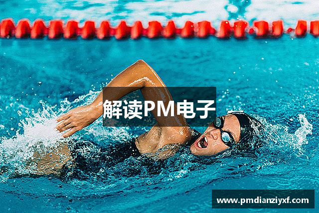 解读PM电子